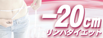�}�C�i�X20cm�����p�_�C�G�b�g